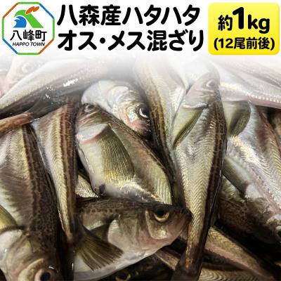 ふるさと納税 八峰町 八森産ハタハタ オス・メス混ざり 約1kg(12尾前後) 秋田県産|16_fid-030101