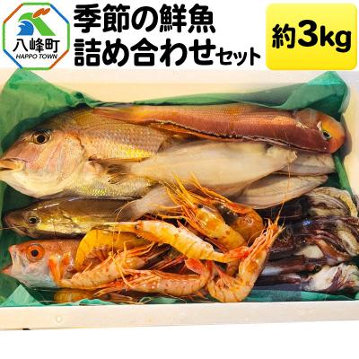 ふるさと納税 八峰町 季節の鮮魚詰め合わせセット 約3kg 高級魚 鮮度抜群|16_fid-050101