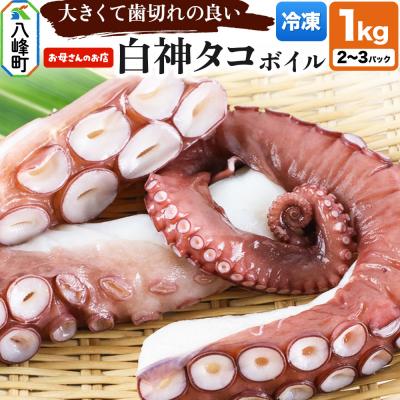 ふるさと納税 八峰町 白神タコ ボイル 約1kg(2〜3パック)秋田県八峰町沖産|16_oka-020201