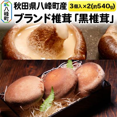 ふるさと納税 八峰町 秋田県八峰町産 ブランド椎茸「黒椎茸」3個入×2パック(約540g)|16_rnc-010201