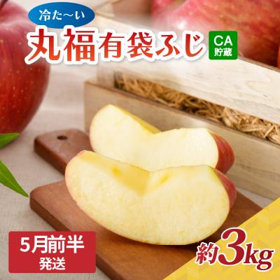 ふるさと納税 五所川原市 りんご ふじ 丸福 約3kg[2026年5月前半発送]CA貯蔵 有袋ふじ