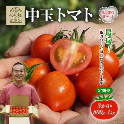 ふるさと納税 加西市 [最旬お届け確約]3ヶ月連続 よしよし畑 中玉トマト 計約3kg[No5698-1626]