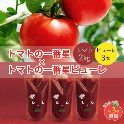 ふるさと納税 加西市 トマト 2kg+トマトの一番星ピューレ 380g×3本セット[No5698-1653]