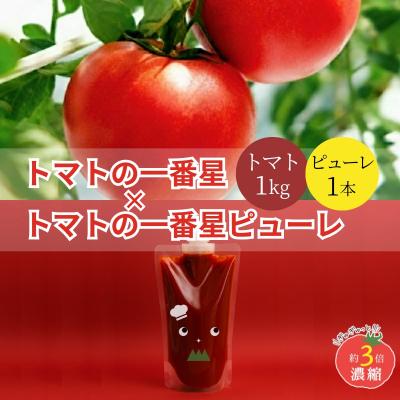 ふるさと納税 加西市 トマト 1kg+太陽のトマトピューレ 380g×1本 セット[No5698-1654]