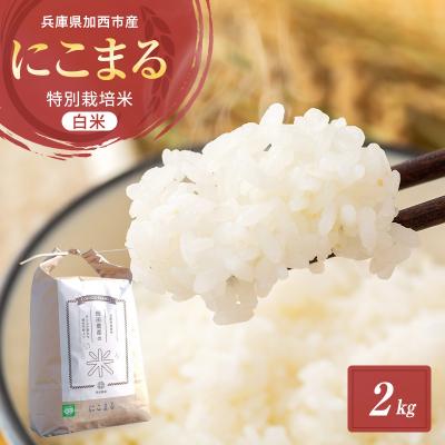 ふるさと納税 加西市 令和7年産 白米 2kg 特別栽培米 にこまる ( 山田錦 )[No5698-1660]