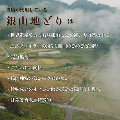 ふるさと納税 出雲市 完全無薬で育った『銀山地どり』のタンドリーチキン　4食_1