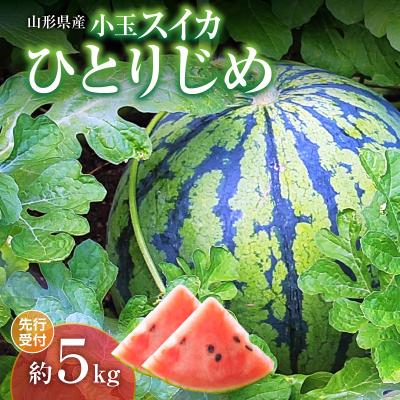 ふるさと納税 大江町 [先行受付]小玉スイカ ひとりじめ 約5kg[2026年7月上旬頃〜順次発送予定]043-004