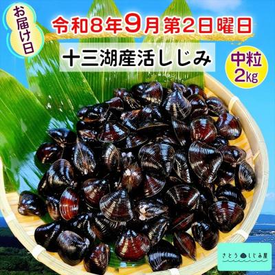 ふるさと納税 つがる市 さとうしじみ屋の十三湖産活しじみ(中粒2kg) [0802]