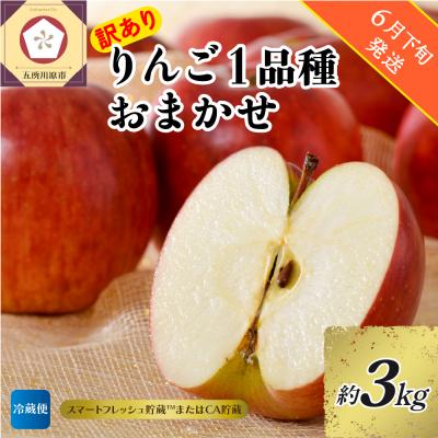 ふるさと納税 五所川原市 [2026年6月下旬発送][訳あり]りんご約3kg 青森産[おまかせ1品種]スマフレTM・CA