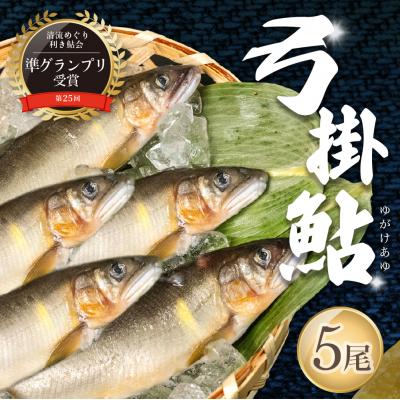 ふるさと納税 下呂市 [期間限定](2025年8月上旬頃から発送)弓掛鮎 5尾セット[107-1]