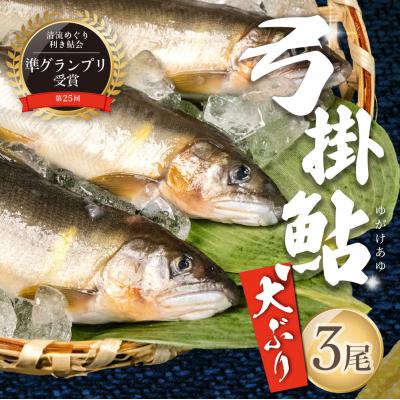 ふるさと納税 下呂市 先行受付[期間限定](2025年8月中旬頃から発送)弓掛鮎 3尾以上[107-4]