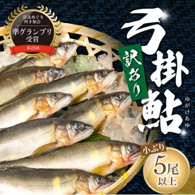 ふるさと納税 下呂市 訳アリ[期間限定](2025年7月上旬頃から発送)弓掛鮎 訳あり セット[107-3]