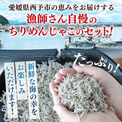 ふるさと納税 西予市 漁師さん自慢のちりめんじゃこ 合計350g(1パック70g入り) |  | 01