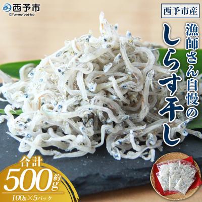 ふるさと納税 西予市 漁師さん自慢のしらす干し 合計500g(1パック100g入り)