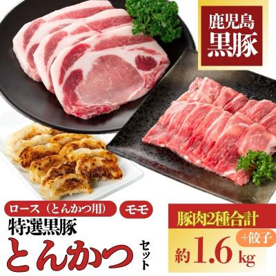 ふるさと納税 肝付町 特選黒豚とんかつセット(計約1.6kg)、黒豚餃子(12個入×1P)付き!