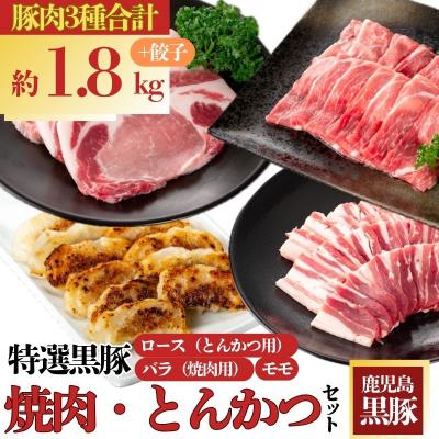 ふるさと納税 肝付町 特選黒豚焼肉とんかつセット(計約1.8kg)