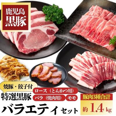 ふるさと納税 肝付町 特選黒豚バラエティセット(約1.4kg)・黒豚焼豚2個付き