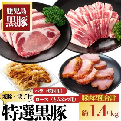ふるさと納税 肝付町 特選黒豚(計約1.4kg) 黒豚焼豚(約200g×2個) 黒豚餃子(12個入×1P)