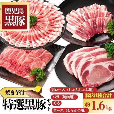 ふるさと納税 肝付町 特選黒豚セット(計約1.6kg)+紅はるか焼き芋(約3kg)