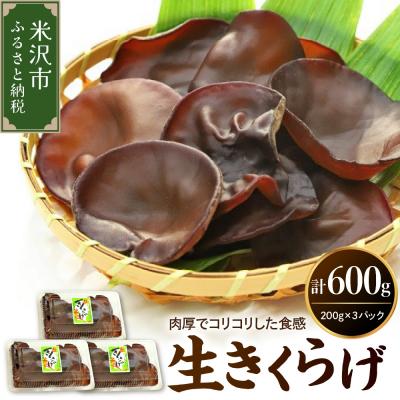 ふるさと納税 米沢市 生きくらげ 計600g(200g×3パック)〔 2026年 6月 〜 10月 中旬頃お届け 〕