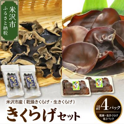 ふるさと納税 米沢市 きくらげセット計4パック(生きくらげ、乾燥きくらげ 各2パック) 2026年6月〜10月中旬頃お届け