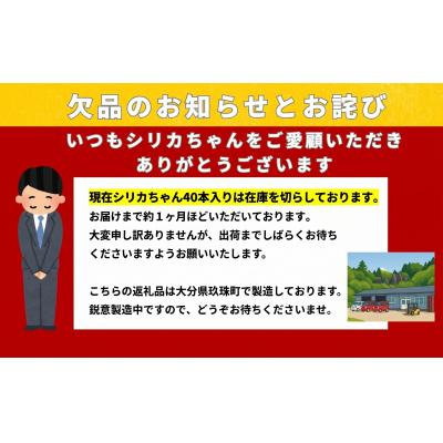 ふるさと納税 玖珠町 【訳あり】シリカ天然水 525ml×24本 (シリカちゃん)ラベルレス 水 SDGs 賞味期限 |  | 03