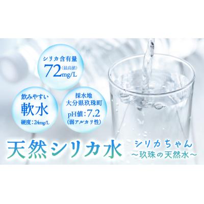 ふるさと納税 玖珠町 シリカ天然水 525ml×40本 (シリカちゃん)ラベル