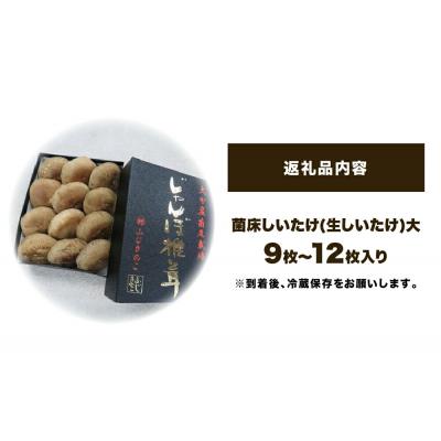 ふるさと納税 玖珠町 ふじきのこ厳選ジャンボ椎茸( 生しいたけ ) |  | 02