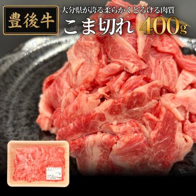 ふるさと納税 玖珠町 全農おおいた 豊後牛 小間切れ 400g