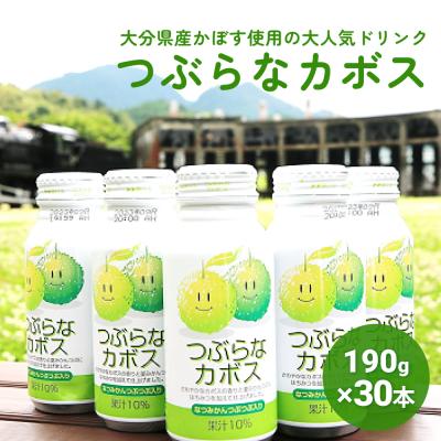 ふるさと納税 玖珠町 大分県産かぼすを使った「つぶらなカボス」