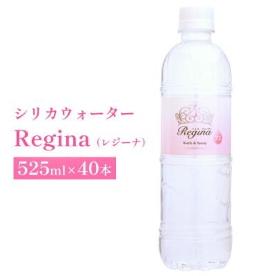 ふるさと納税 玖珠町 regina40本1ケース | 