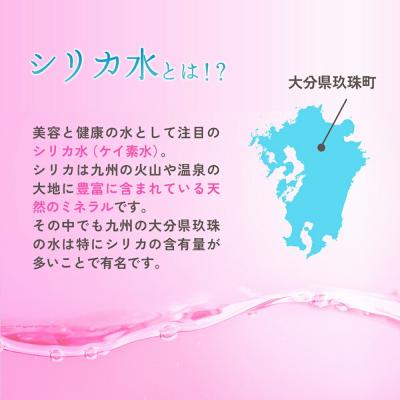 ふるさと納税 玖珠町 regina40本1ケース |  | 01