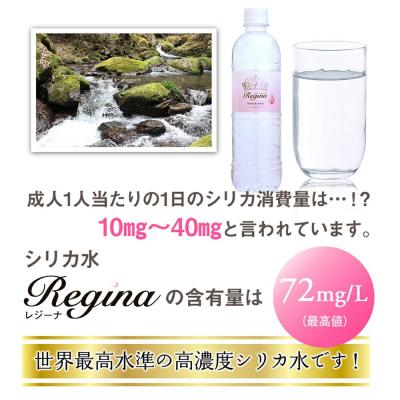 ふるさと納税 玖珠町 regina40本1ケース |  | 02