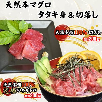 ふるさと納税 室戸市 天然本マグロ タタキ身(ネギトロ)と 切り落とし セット [合計400g]
