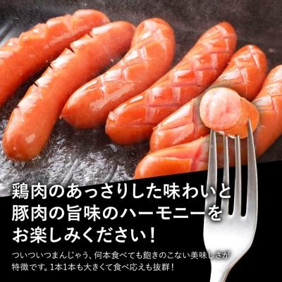 ふるさと納税 古賀市 ボリューム3kg!　博多の薫り あらびきウィンナー大満足セット |  | 02