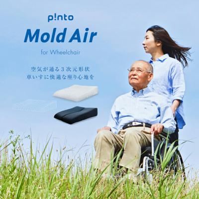ふるさと納税 玖珠町 p!nto Mold Air