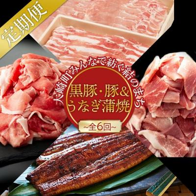 ふるさと納税 大崎町 [定期便全6回]うなぎ蒲焼・黒豚・豚コース 〜豊かな自然が宝物 みんなで紡ぐ定期便〜