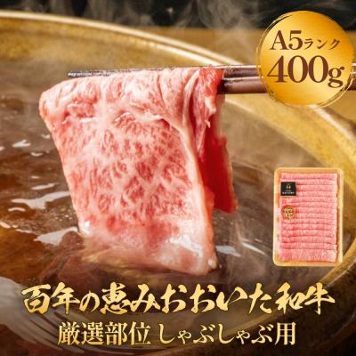 ふるさと納税 玖珠町 「百年の恵み おおいた和牛」A5しゃぶしゃぶ 400g おおいた和牛 黒毛和牛