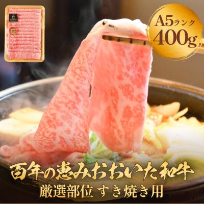 ふるさと納税 玖珠町 「百年の恵み おおいた和牛」A5すき焼き 400g おおいた和牛 黒毛和牛