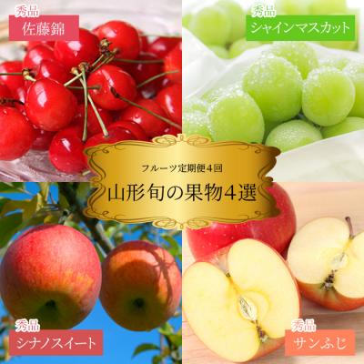 ふるさと納税 長井市 [2026年発送]果物定期便4回(佐藤錦/シャイン/シナノスイート/ふじりんご)_H190(R8)