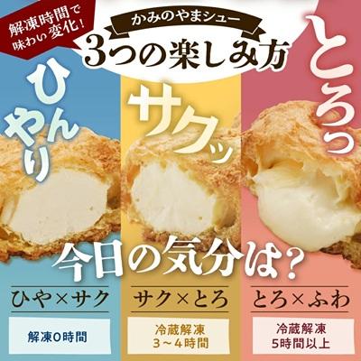 ふるさと納税 上山市 かみのやまシュー　12個　0048-2506 |  | 02