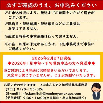 ふるさと納税 上山市 かみのやまシュー　12個　0048-2506 |  | 03