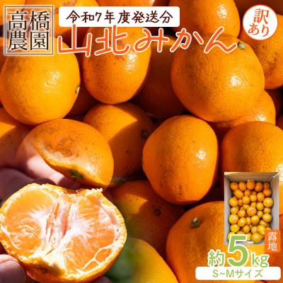 ふるさと納税 香南市 みかん 5kg 小玉 訳あり 高橋農園 山北みかん 露地(S〜M)B品 th-0019