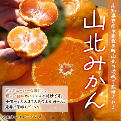 ふるさと納税 香南市 山北みかん 5kg 小玉 訳あり B品 甘い 人気 訳あり 果物 フルーツ th-0031 |  | 01