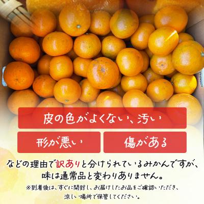 ふるさと納税 香南市 山北みかん 5kg 小玉 訳あり B品 甘い 人気 訳あり 果物 フルーツ th-0031 |  | 02