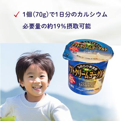 ふるさと納税 小牧市 【6ヶ月定期便】愛知ヨーク ソフトクリーム