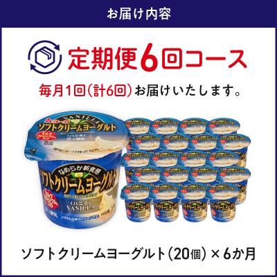 ふるさと納税 小牧市 【6ヶ月定期便】愛知ヨーク ソフトクリーム