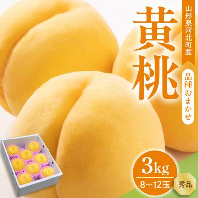 ふるさと納税 河北町 [令和8年産]黄桃 品種おまかせ 3kg (8〜12玉前後) ギフト箱入 秀品 山形県産