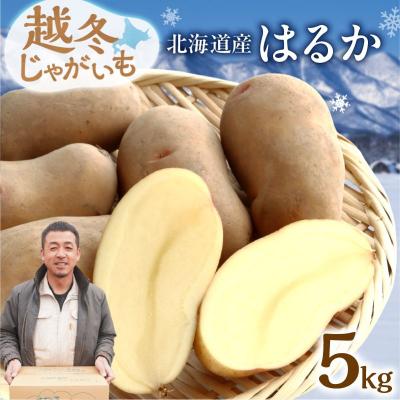 ふるさと納税 清水町 先行予約!ホクホク あま〜い!低温貯蔵!北海道産 越冬じゃがいも はるか 約5kg