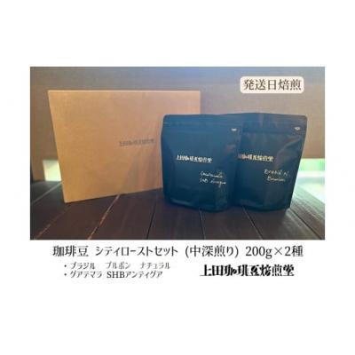 ふるさと納税 飯能市 [上田珈琲豆焙煎堂]珈琲豆 中深煎り セット 200g×2種 セット[豆]